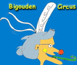 bigouden circus